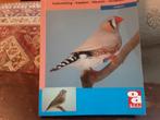 Zebravinken, Dieren en Toebehoren, Vogels | Overige Vogels, Mannelijk, Tropenvogel