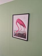 De flamingo van James Audubon, Antiek en Kunst, Ophalen