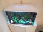 complete witte superfish start 100 (inhoud ca 105 liter), Dieren en Toebehoren, Vissen | Aquaria en Toebehoren, Ophalen, Gebruikt