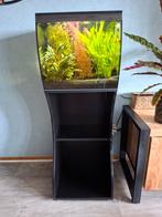 Te koop Compleet beginners aquarium, Ophalen, Zo goed als nieuw, Gevuld zoetwateraquarium