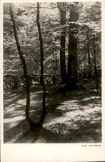 Heerlen, Aambosch Hub Leufkens, Verzenden, 1940 tot 1960, Ongelopen, Limburg