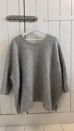 Sea Me Happy (SMH) trui, universele maat, Ophalen of Verzenden, Zo goed als nieuw, Maat 38/40 (M), Grijs
