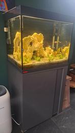 Aquarium 150 liter met kast Eheim, Ophalen, Zo goed als nieuw, Leeg aquarium