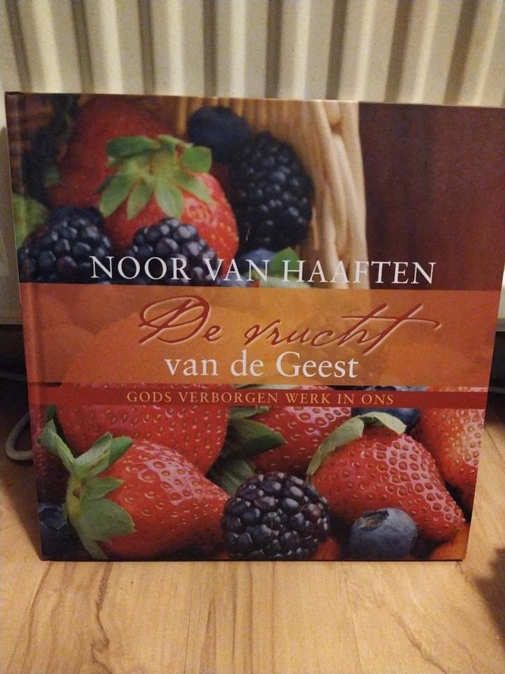 De vrucht van de Geest - Noor van Haaften, Boeken, Godsdienst en Theologie, Ophalen of Verzenden