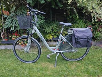 Stella modena beschikbaar voor biedingen