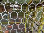 Grasparkieten, Dieren en Toebehoren