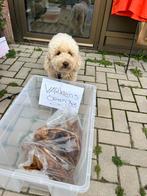 Big pig ears - dog snack, Ophalen, Hond