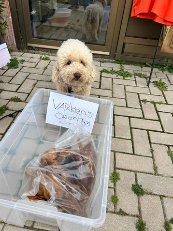 Big pig ears - dog snack beschikbaar voor biedingen