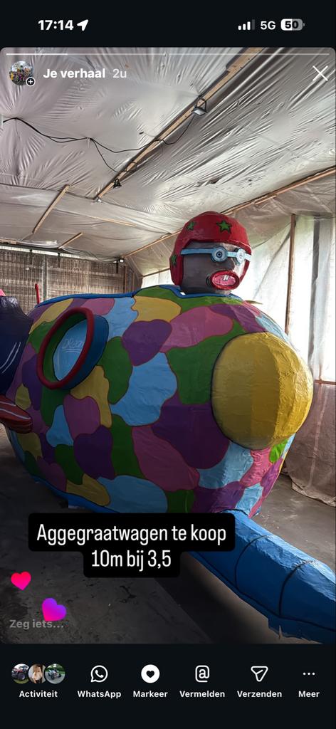 Carnavalswagen  - Uniek!, Ophalen of Verzenden, Gebruikt, Feestartikel, Carnaval