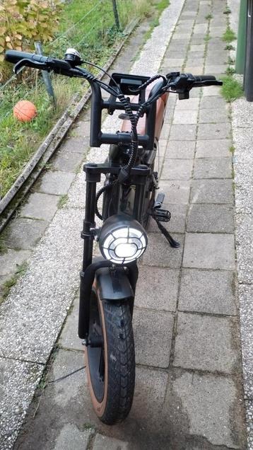 Fatbike V20 beschikbaar voor biedingen