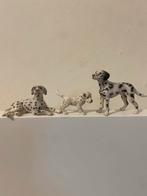 Schleich Dalmatiërs - Set van 3, Ophalen of Verzenden, Zo goed als nieuw