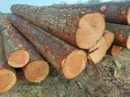 Douglas planken en balken, Nieuw, Ophalen of Verzenden, Plank, 300 cm of meer