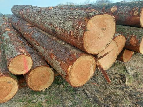 Douglas planken en balken, Doe-het-zelf en Verbouw, Hout en Planken, Nieuw, Plank, Overige houtsoorten, 300 cm of meer, Ophalen of Verzenden