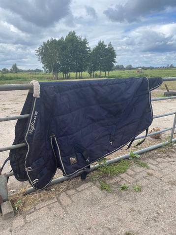 Deken Harry’s Horse  beschikbaar voor biedingen