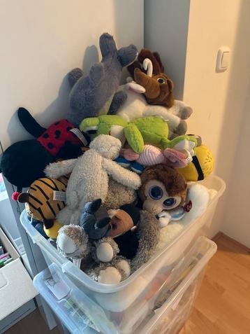 Grote Knuffelcollectie - Zo Goed Als Nieuw! beschikbaar voor biedingen