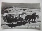 M01 Terschelling - Met de huifkar naar de Bosplaat - 1965, Verzenden, 1960 tot 1980, Gelopen, Waddeneilanden