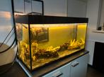 Zeer Luxe Aquarium Met professionele Eheim pomp., Ophalen of Verzenden, Zo goed als nieuw, Leeg aquarium