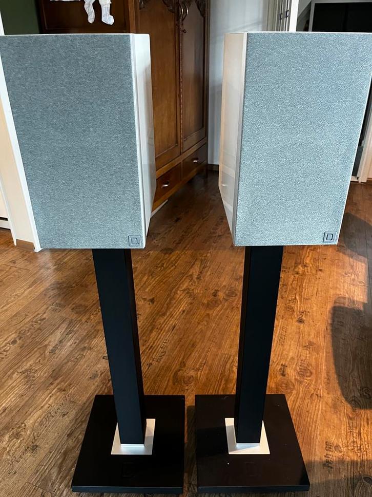 Definitive Technology D11 speakers, Audio, Tv en Foto, Luidsprekers, Gebruikt, Front, Rear of Stereo speakers, 60 tot 120 watt