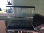 Terrarium / Hamsterscape 60x40x50, Gebruikt, Minder dan 80 cm, Minder dan 80 cm, Ophalen of Verzenden