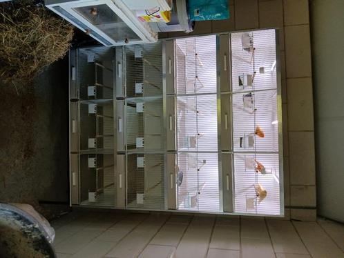 broedkooien kweekkooi, Dieren en Toebehoren, Vogels | Hokken en Kooien, Zo goed als nieuw, Broedkooi of Kweekkooi, Hout, Ophalen