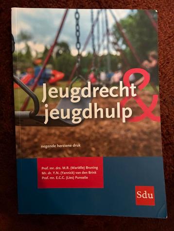 Jeugdrecht & jeugdhulp - studieboek beschikbaar voor biedingen