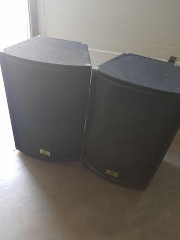 Set Devine 15" Passieve speakers - 500 Watt beschikbaar voor biedingen