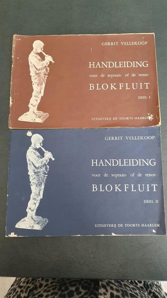 Blokfluit Handleiding Gerrit Vellekoop - Deel I & II, Boeken, Muziek, Gelezen, Instrument, Ophalen of Verzenden