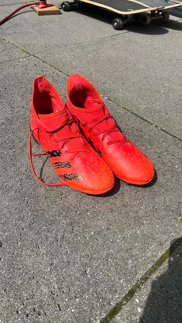 Maat 38 2/3 adidas voetbalschoenen predator beschikbaar voor biedingen