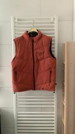 Bjornson bodywarmer mtXXL, Ophalen of Verzenden, Zo goed als nieuw, Overige maten, Oranje