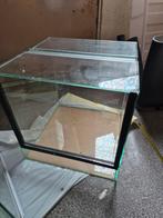 Leuk klein terrarium 30x30x30, Dieren en Toebehoren, Reptielen en Amfibieën | Toebehoren, Ophalen, Zo goed als nieuw, Terrarium of Paludarium