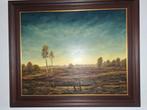 Te koop mooi schilderij.., Ophalen of Verzenden