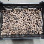 Walnoten - 4 kg, Ophalen