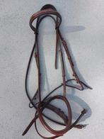 Roodbruin Frank Baines hoofdstel (full), Dieren en Toebehoren, Ophalen of Verzenden, Zo goed als nieuw, Springen