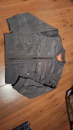 Bomber jack / tussenfase/ zomerjas maat 116, Ophalen of Verzenden, Zo goed als nieuw, Jas