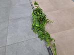 AANBIEDING op tuintegels., Gebruikt, Keramiek, Ophalen of Verzenden, 10 m² of meer