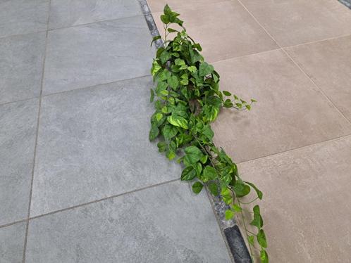 AANBIEDING op tuintegels., Tuin en Terras, Tegels en Klinkers, Gebruikt, Terrastegels, Keramiek, 10 m² of meer, Ophalen of Verzenden