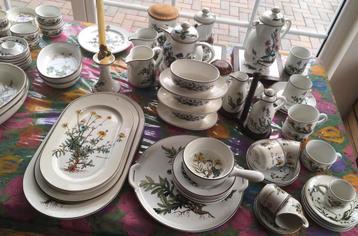 Villeroy & Boch Botanica servies beschikbaar voor biedingen