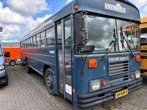 Amerikaanse Schoolbus | 44 zitplaatsen | Personenbus gekeurd, Auto's, Vrachtwagens, Bedrijf, Overige merken, Diesel, Euro 2, Automaat