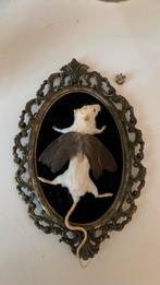 taxidermy muis kroon vleugels koning brocant lijstje, Antiek en Kunst, Curiosa en Brocante, Ophalen of Verzenden