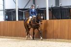 Allround instructie/paardrijles aangeboden, Diensten en Vakmensen, Dieren | Paarden | Verzorging, Oppas en Les, Paardrijles of Ponykampen