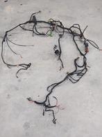 Canta kabelboom, Ophalen of Verzenden