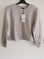 ZARA sweater met schoudervullingen mt. M, Kleding | Dames, Maat 38/40 (M), Verzenden, Zara, Nieuw