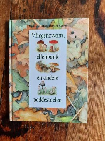 Vliegenzwam , elfenbank en andere paddestoelen . V. Tilburg beschikbaar voor biedingen