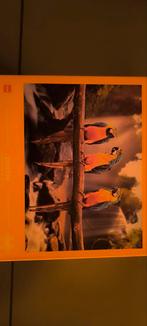 Legpuzzel papagaaien 1000 stukjes., Hobby en Vrije tijd, Denksport en Puzzels, Ophalen of Verzenden, 500 t/m 1500 stukjes, Nieuw