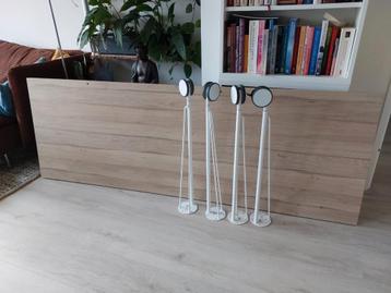 Blad met 4 poten beschikbaar voor biedingen