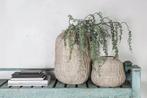 Partij crèmekleurige PTMD Timon cement plantenpotten, Minder dan 50 cm, Nieuw, Ophalen of Verzenden
