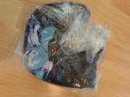 Hatsune miku x cinnamon roll pet, Ophalen of Verzenden, Nieuw, One size fits all, Pet