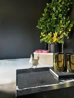 Kippenhok incl 3 kriel kippen en toebehoren, Ophalen, Zo goed als nieuw, Kippenhok of Kippenren