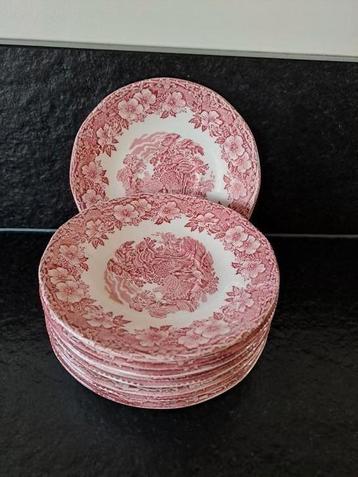 9 schotels Wedgwood Woodland rood  beschikbaar voor biedingen