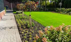 Tuinman in nederland  beschikbaar voor biedingen